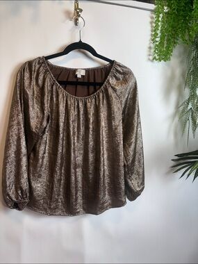 LOFT Shimmering Bronze Blouse
